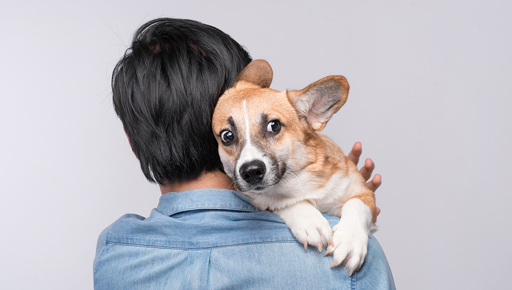 Recognizing Your Pet's Fears