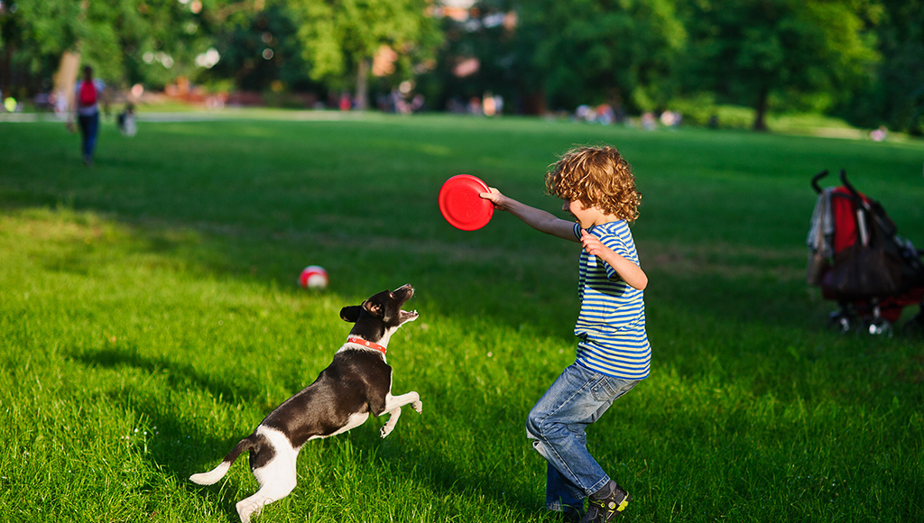 Outdoor Fun With Your Pooch!