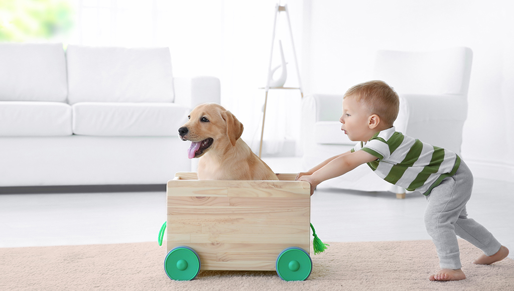 Teaching Dog Safety to Children