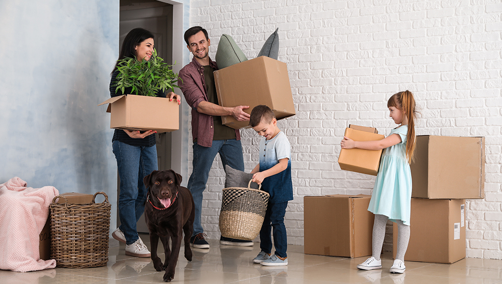 Helpful Tips For Moving With Pets