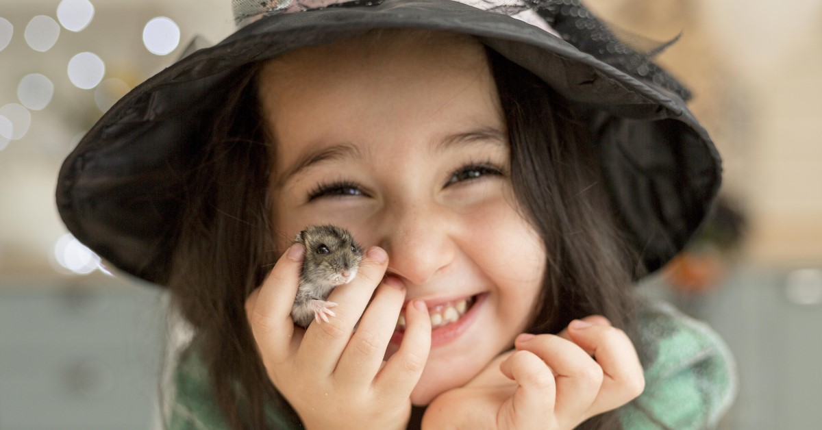 Hamster Breeds: Which Is Right for Me?