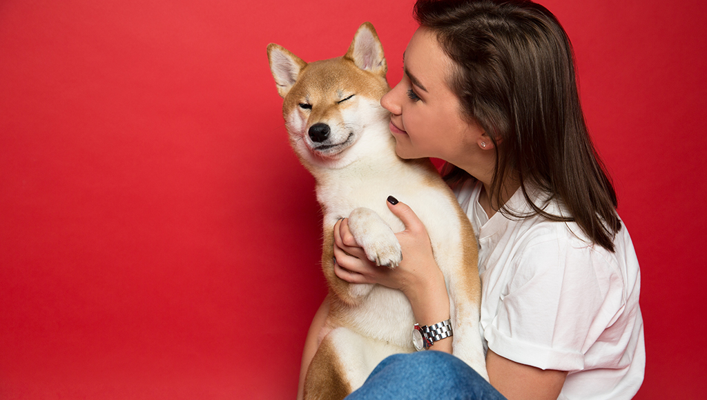 Vision Disorders Found in Canines