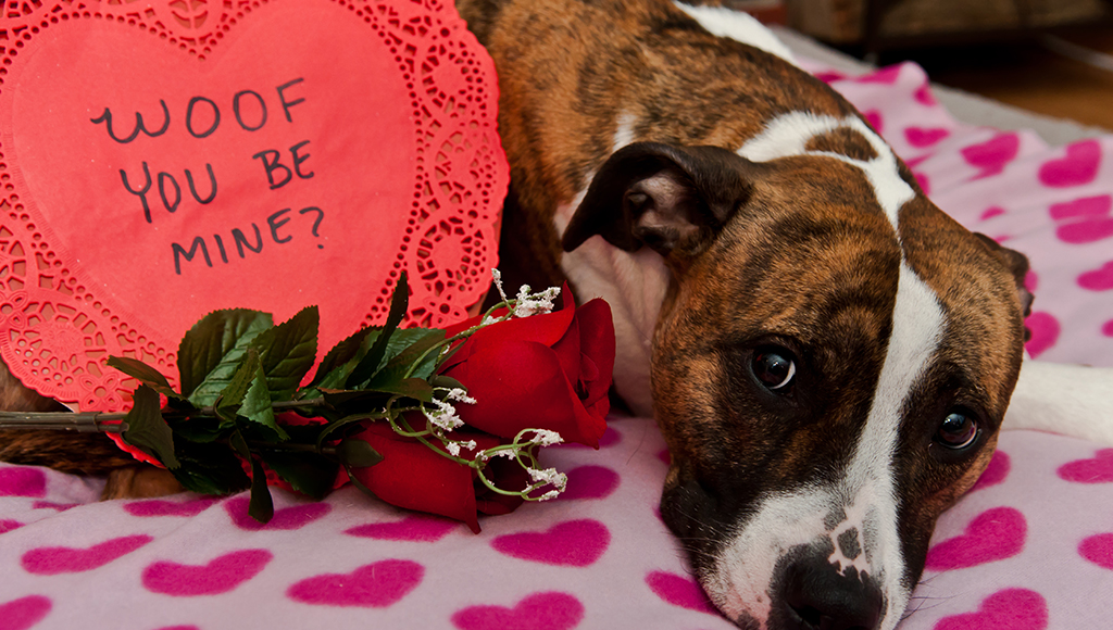 Delightful Valentine's Day Gifts