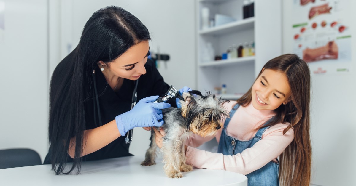 Tips for Pets Afraid of the Vet