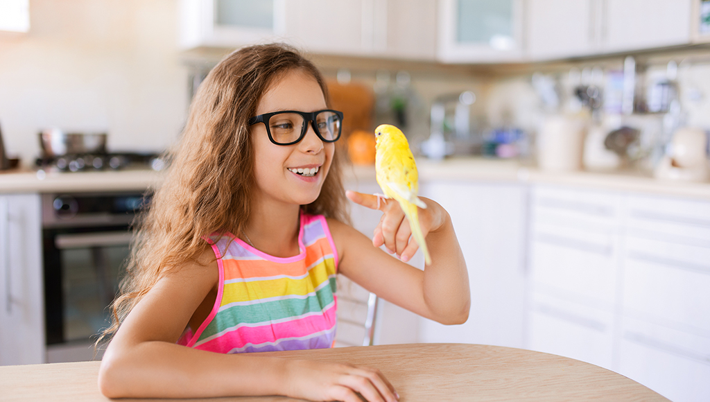 Living With Feathered Friends