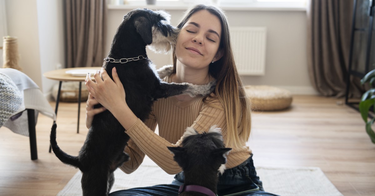 How to Choose the Best Dog Sitter for Your Pet