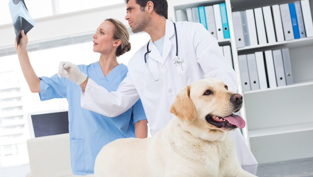 Understanding DIfferent Diagnostic Procedures and Their Importance