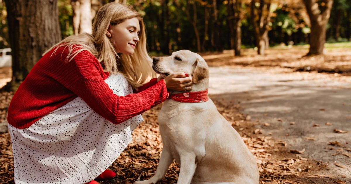 How to Redirect Your Dog and Enjoy Life Together Again