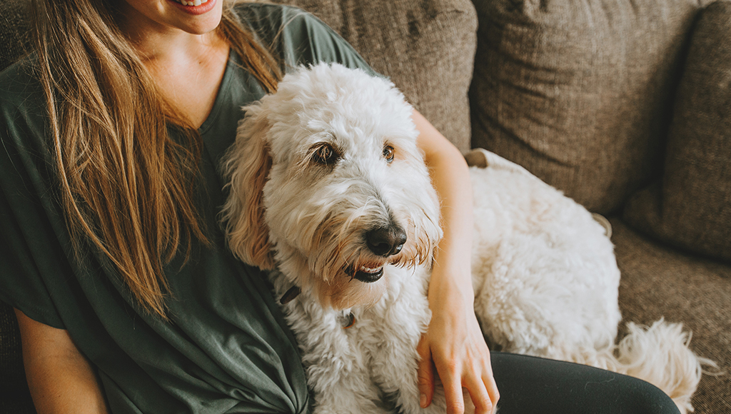 Pet Sitting Services: Choose Wisely