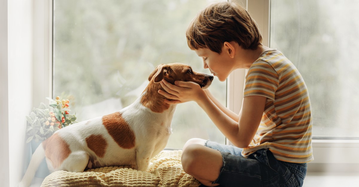 Are You Ready To Foster a Pet in Your Home?