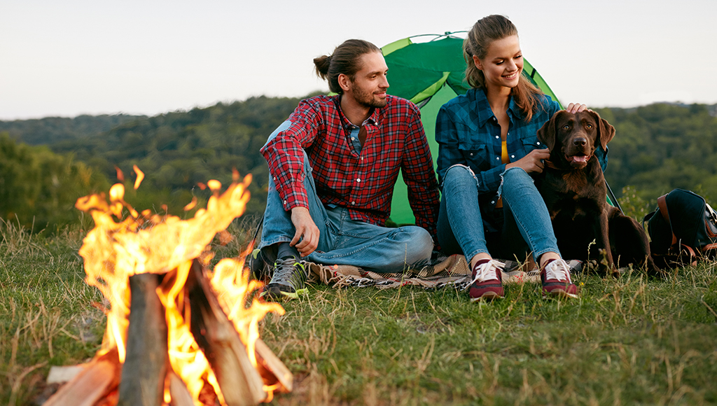 Camping With Your Dog Can Be Fun!