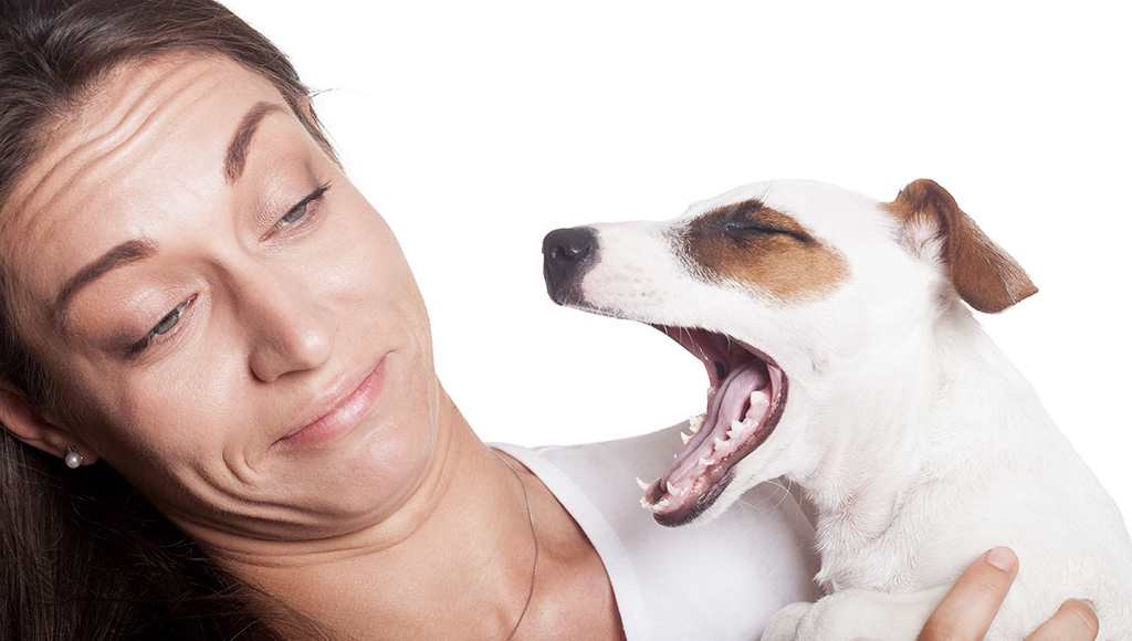 What Causes Bad Breath in Dogs?
