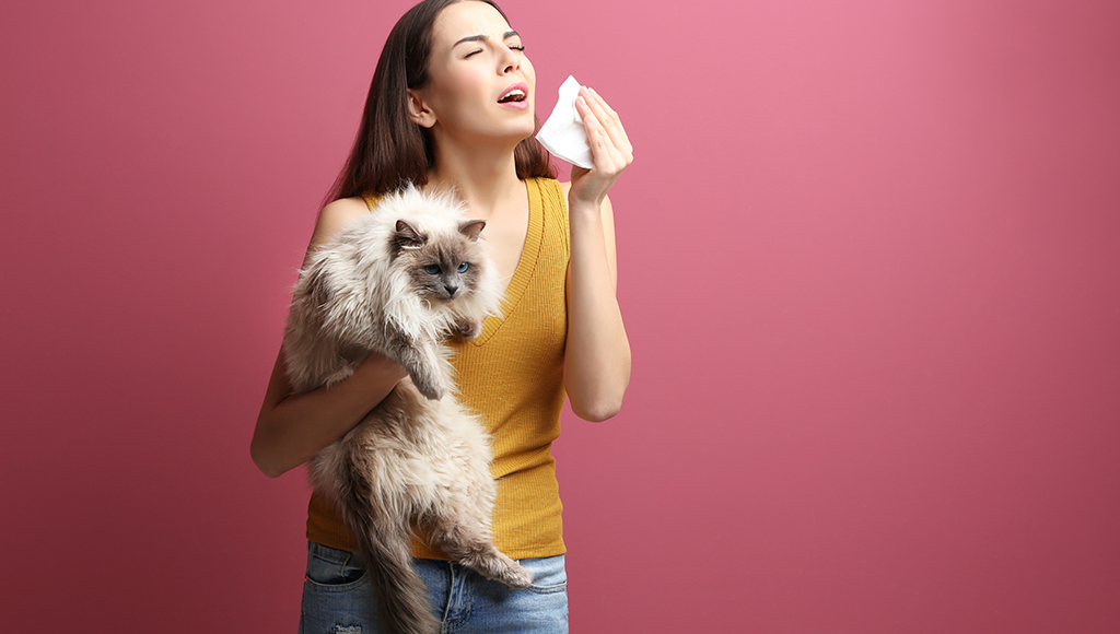 dog allergic to cat dander