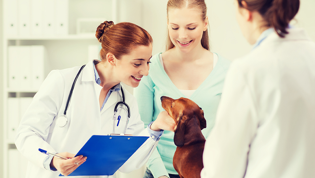 Choosing Your Pet's Veterinarian