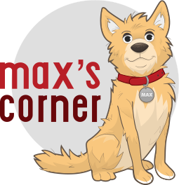 Max's Corner
