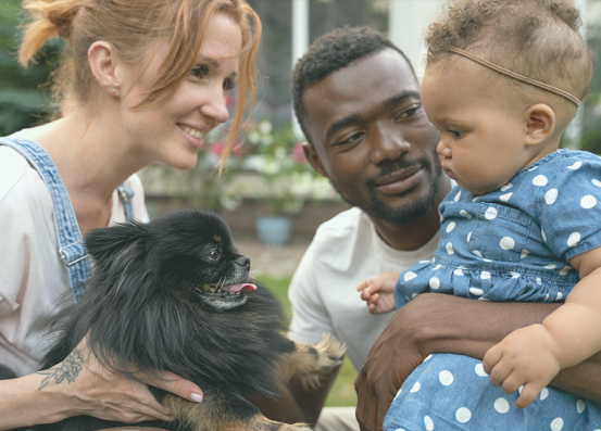Mint Wellness vs. Pet Insurance Mint Wellness vs. Pet Insurance