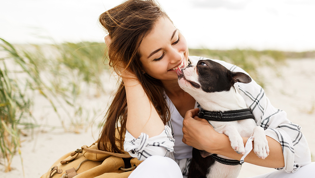 Is Pet Insurance Right For You?