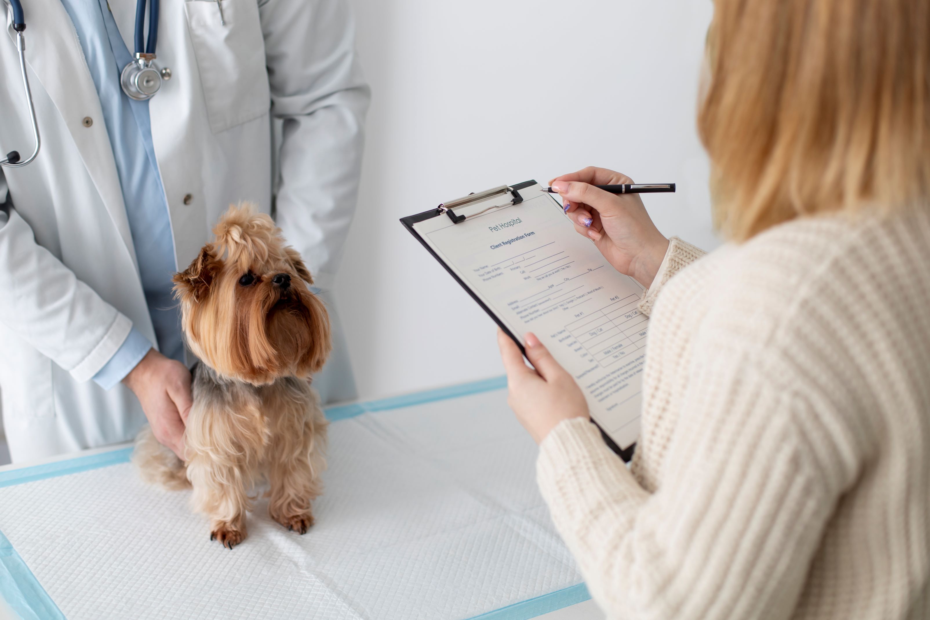 What Every Pet Owner Needs to Know About Pet Insurance