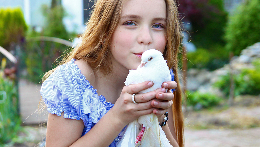 Doves and Pigeons as Pets